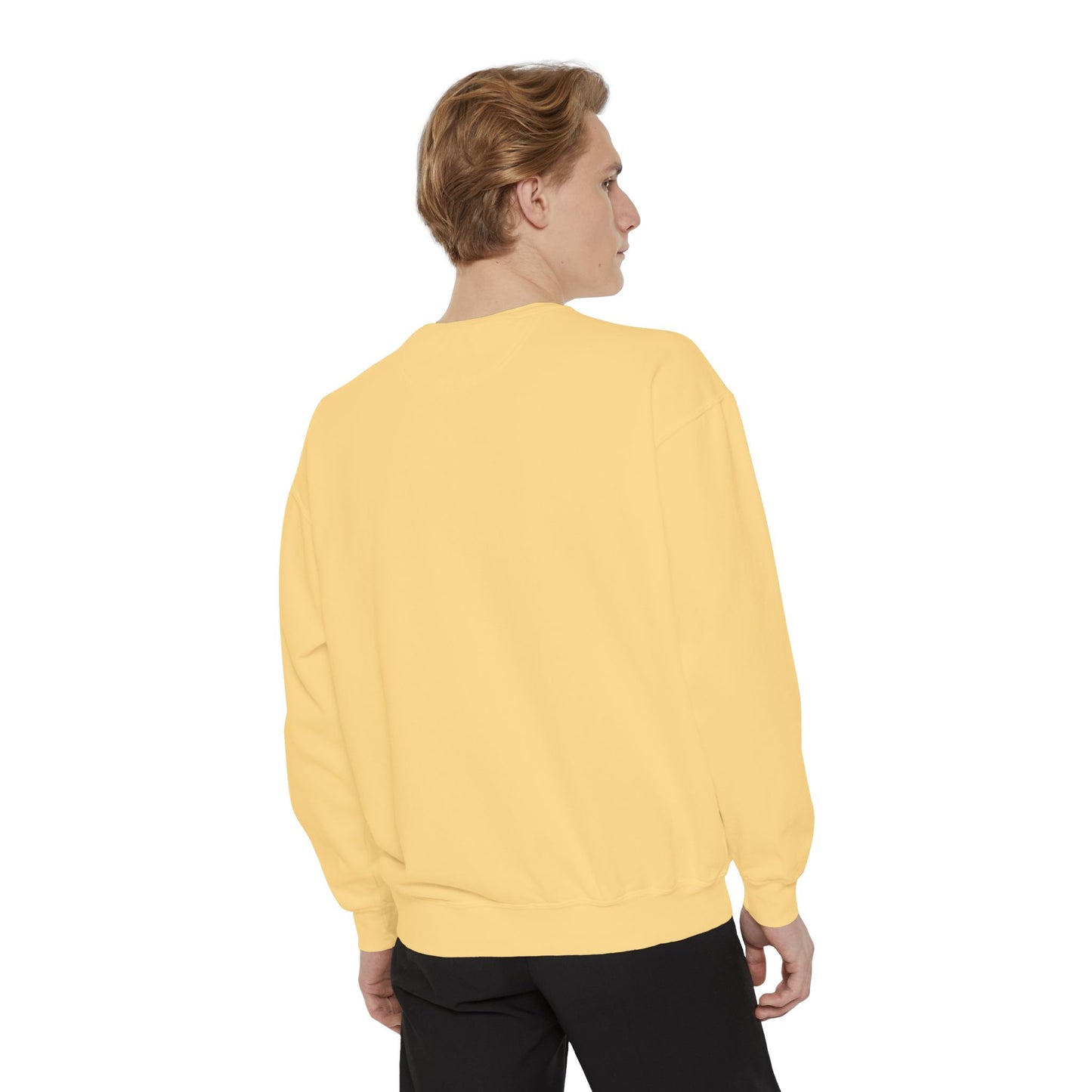 BTC Blockchain Unisex Garment-Dyed Sweatshirt