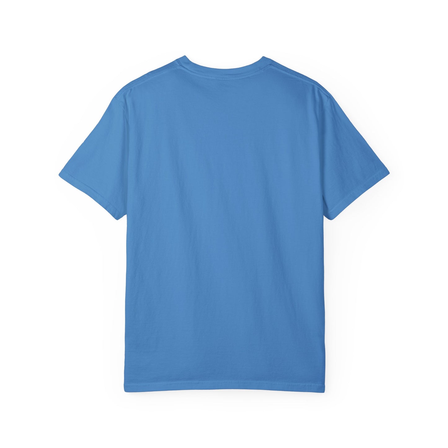Charting my Own Course Unisex Garment-Dyed T-shirt